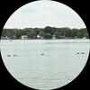 ahoutz23